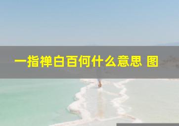 一指禅白百何什么意思 图